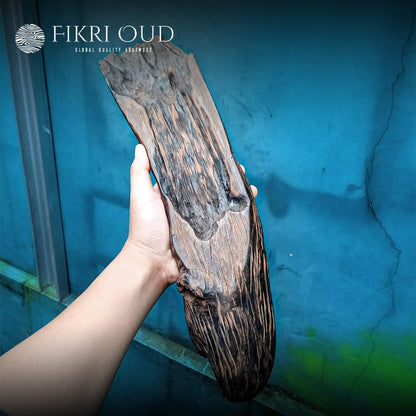 Rare Kalimantan Oud Chunk 1.6 Kg - Grade: Sink/Underwater - Fikri Oud