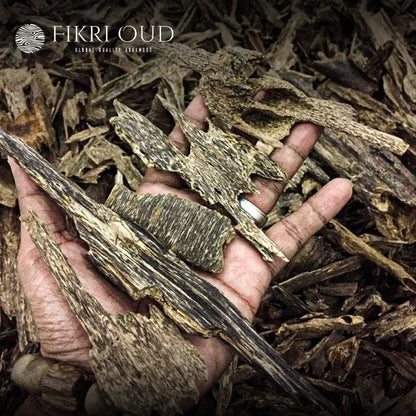 Wild Natural Kalimantan Oud Chunks - Grade: Super - Fikri Oud