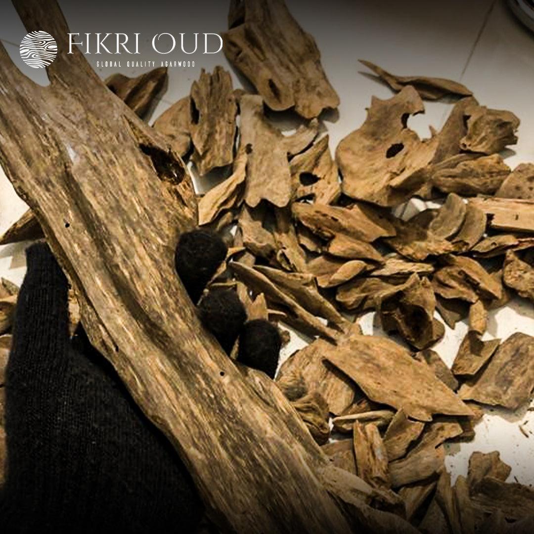 Wild Natural Merauke Oud Chunks - Grade: Triple Super - Fikri Oud